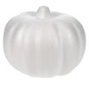 White Carvable Foam Pumpkins, 5.5x4.5 in. — Family Dollar (SKU FD2201990)