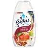 Glade Solid Apple Cinnamon Air Freshener, 6 oz. — Family Dollar (SKU FD1413978)
