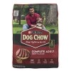 Purina Dog Chow Complete Adult With Real Beef Dry Dog Food, 35 lbs. — Family Dollar