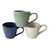 Textured Ceramic Speckle Mug with Handle, 16 oz. — Family Dollar