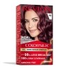Revlon Colorsilk Burgundy Hair Color Kits — Family Dollar