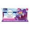 Febreze Odor-Eliminating 3.1 oz. Scented Candles, Gain Moonlight Breeze Scent, 2 ct. — Family Dollar (SKU fd:1499028)