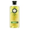 Herbal Essences Chamomile Shine Collection Shampoo, 13.5 fl oz — Dollar General penny item