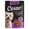 Cesar Filets in Gravy Filet Mignon Flavor Canine Cuisine 1.76 oz — Family Dollar (SKU FD1198358)