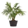 Outdoor By Design whiskey barrel planter 16in — Family Dollar (SKU FD3401577)