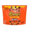 Reese's Cluster Bites Peanut Butter, Caramel and Peanuts Candy Bag, 7 oz. — Dollar General penny item