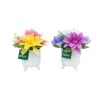 Spring Summer Ceramic Pot Arrangement — Family Dollar