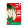 Clear Mini Holiday Lights with Green Wire, 100 ct. — Family Dollar (SKU FD2297666)