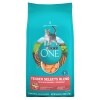 Purina One Tender Selects Blend With Real Salmon Natural Dry Cat Food, 2.8 lbs. — Family Dollar
