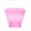 Scalloped Container Pink — Family Dollar (SKU FD1372422)