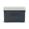 Igloo Cooler - Jet Carbon, 9 Quart. — Family Dollar