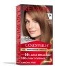 Revlon Colorsilk Light Golden-Brown Color Kits — Family Dollar