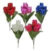 Combo Tulip Bush, Assorted Colors, 5 Piece Pack. — Family Dollar