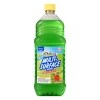 Homeline Fruit Scent Multi-Surface Cleaner, 33.8 oz. — Family Dollar penny item