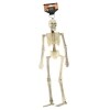 Plastic Hanging Skeletons, 18x5.5 in. — Family Dollar (SKU FD2298033)
