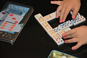Falomir Family Bingo Lotto Game – Fun For All Ages, Tin Box, 2+ Players, Ages 6 And Up