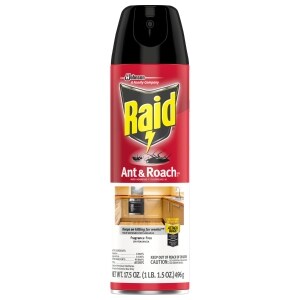Raid Ant & Roach Killer Aerosol Bug Spray Kills on Contact - Fragrance Free, 17.5oz