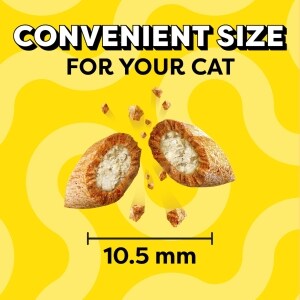 Temptations Chicken Flavored Cat Treats 3 Oz Family Dollar