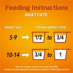 Purina Friskies Tender And Crunchy Combo Cat Food 3 15 Lb