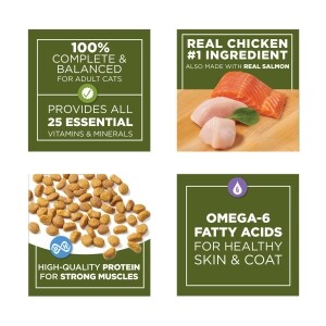 Purina Cat Chow Naturals Original Cat Food 3 15 Lb Family Dollar