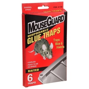Mouse Guard Disposable Glue Traps 6 Ct Family Dollar
