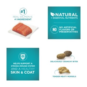 Purina One Tender Selects Blend Cat Food 2 8 Lb Family Dollar