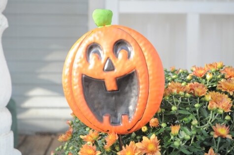 Howling Halloween Decor Family Dollar Family Dollar