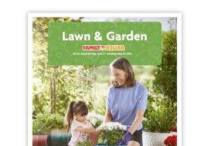 family dollar biker shorts