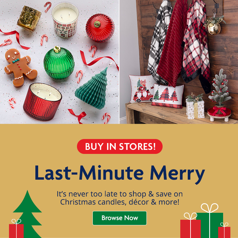 Christmas Gifts & Essentials Family Dollar